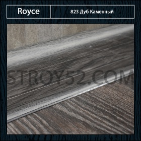 Дуб Каменный 823